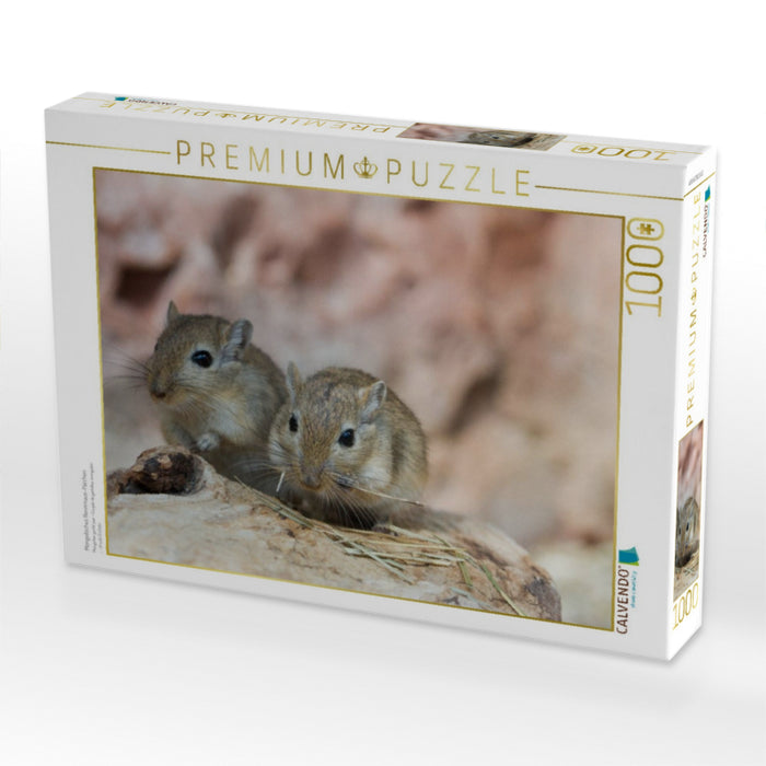 Mongolisches Rennmaus-Pärchen - CALVENDO Foto-Puzzle'