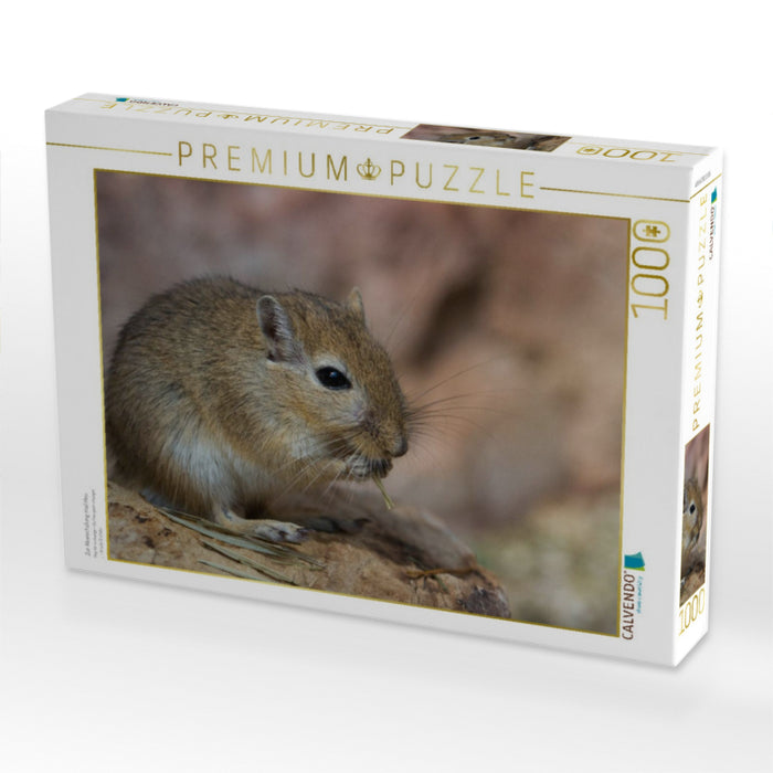 Zur Abwechslung mal Heu - CALVENDO Foto-Puzzle'