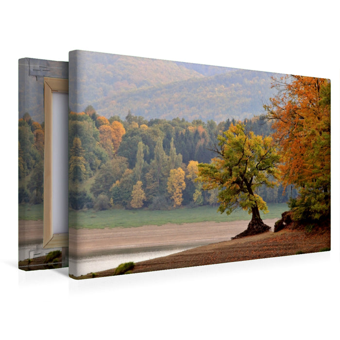 Premium Textil-Leinwand Herbst am Schiefen Baum