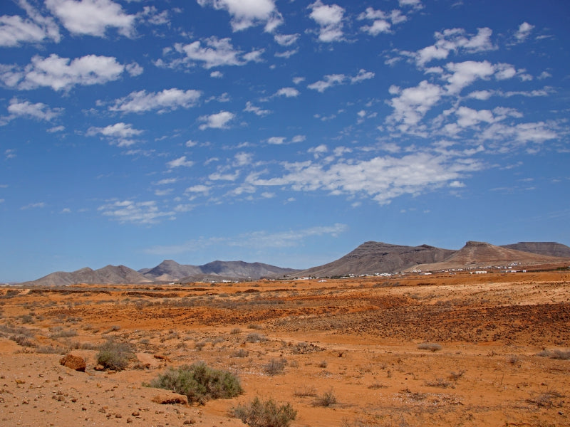 Fuerteventura (in der Nähe von Antigua) 1000 Teile Puzzle quer - CALVENDO Foto-Puzzle'