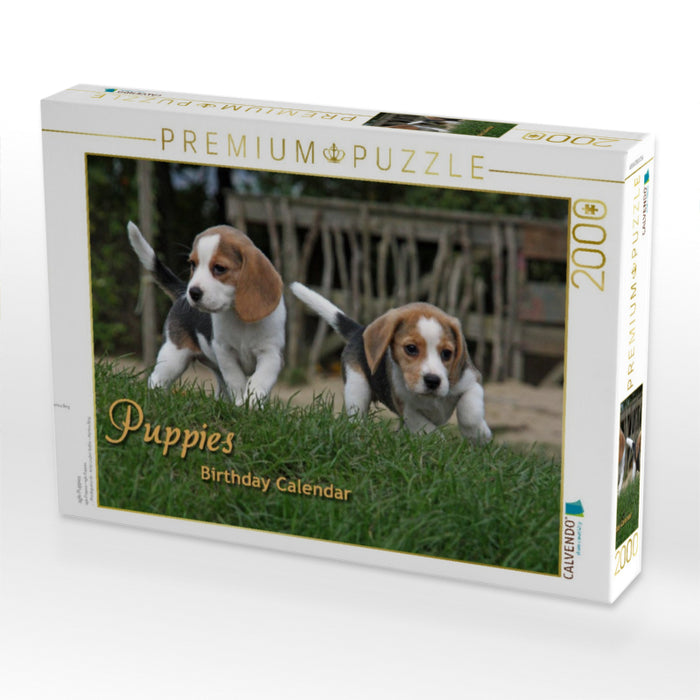 agle Puppies - CALVENDO Foto-Puzzle'