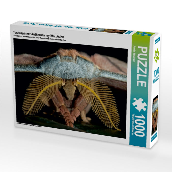 Tussaspinner Antheraea mylitta, Asien 1000 Teile Puzzle quer - CALVENDO Foto-Puzzle'