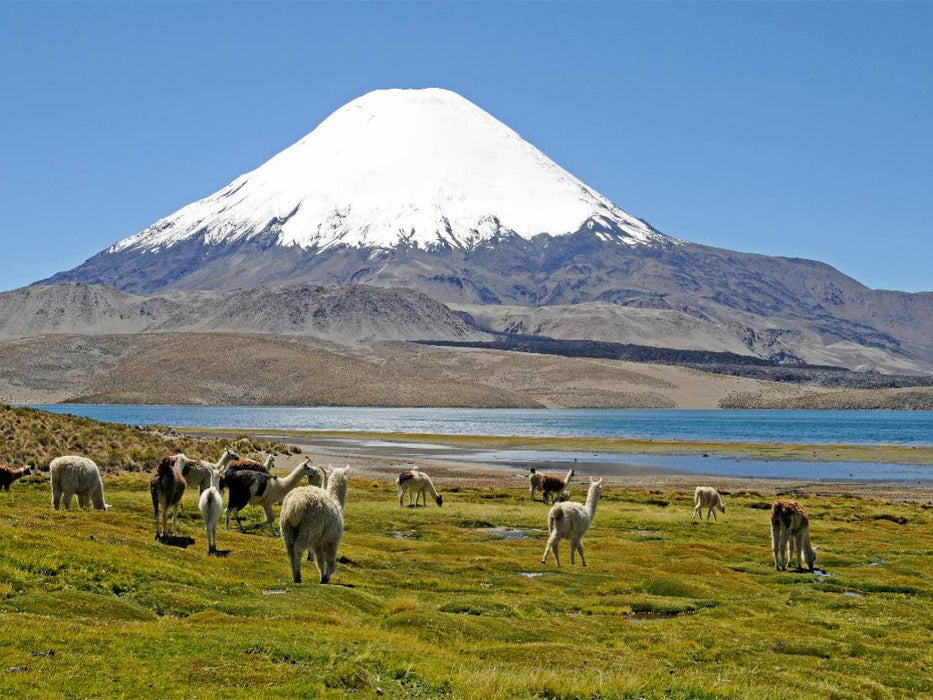 Parinacota Vulkan, Lauca Nationalpark, Norte Grande - CALVENDO Foto-Puzzle'