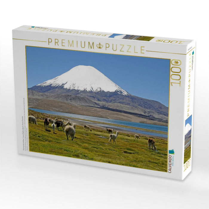 Parinacota Vulkan, Lauca Nationalpark, Norte Grande - CALVENDO Foto-Puzzle'