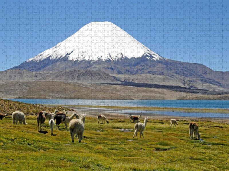 Parinacota Vulkan, Lauca Nationalpark, Norte Grande - CALVENDO Foto-Puzzle'