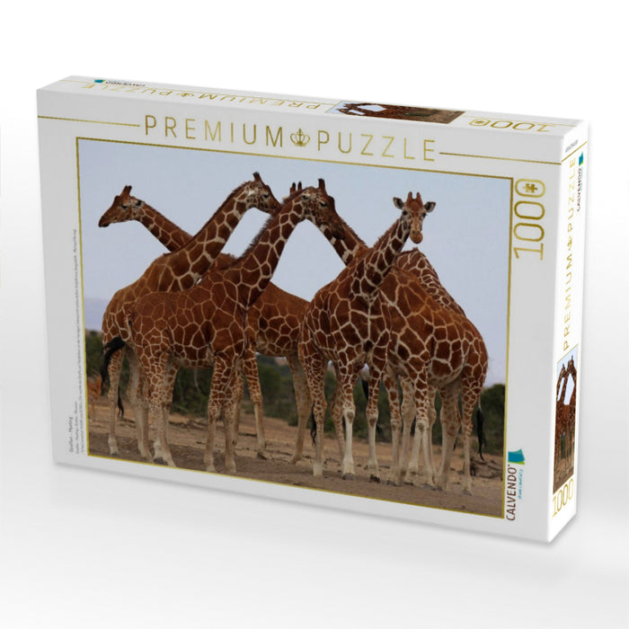 Giraffen – Meeting - CALVENDO Foto-Puzzle'
