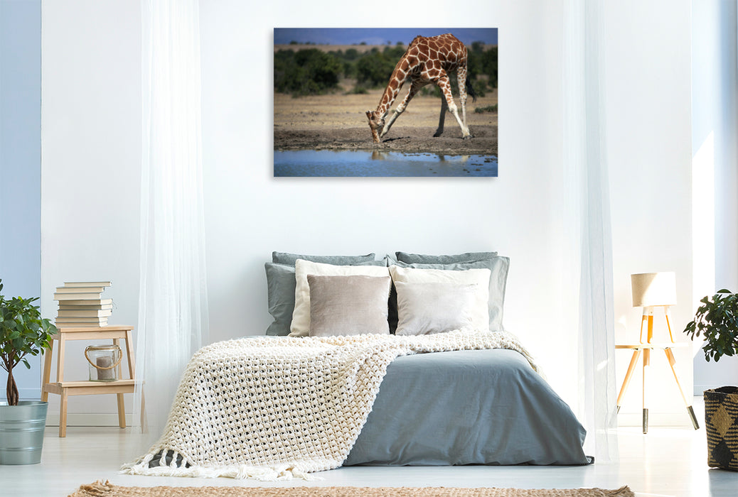 Toile textile premium Toile textile premium 120 cm x 80 cm paysage Girafes - Dans le lit de la rivière 
