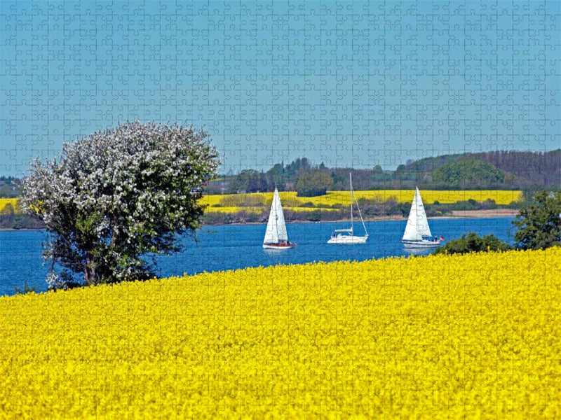 Ostseefjord Schlei - CALVENDO Foto-Puzzle'