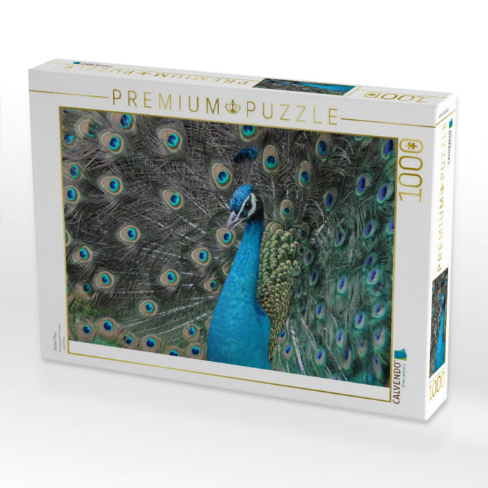 Stolzer Pfau - CALVENDO Foto-Puzzle'