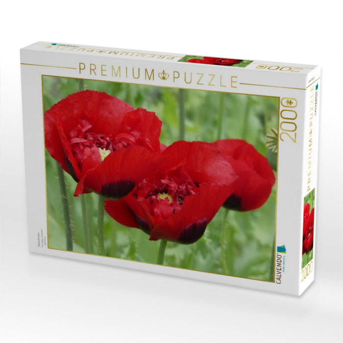 Klatschmohn - CALVENDO Foto-Puzzle'