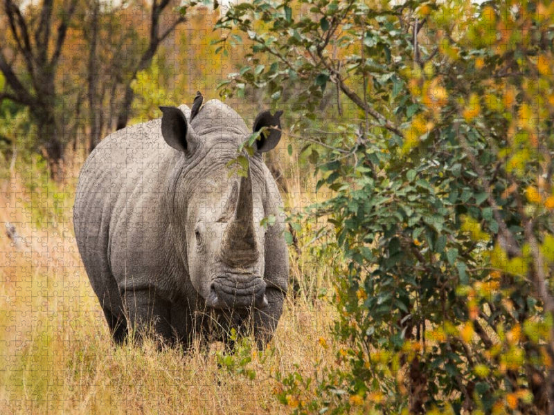 Nashorn in seinem Lebensraum - CALVENDO Foto-Puzzle'