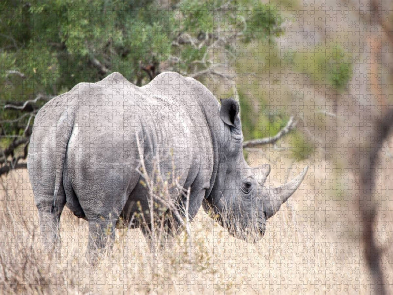 Nashorn auf den Rückzug - CALVENDO Foto-Puzzle'