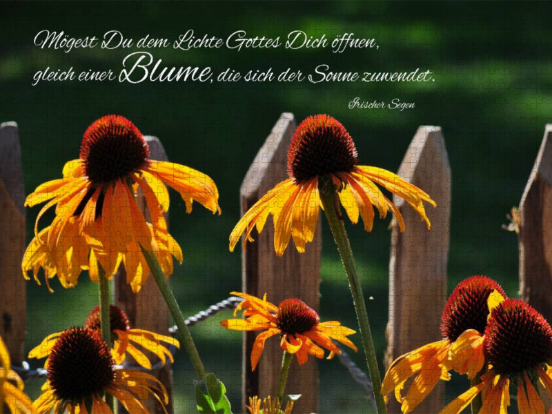 Blickrichtung Sonne - CALVENDO Foto-Puzzle'