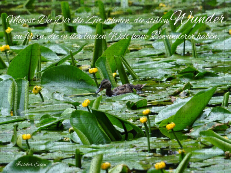 Stilles Wunder - CALVENDO Foto-Puzzle'
