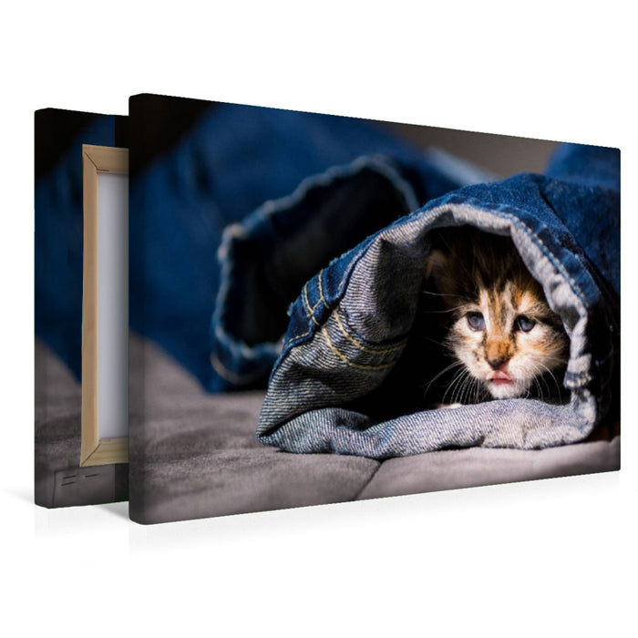Premium Textil-Leinwand Erkundungstour