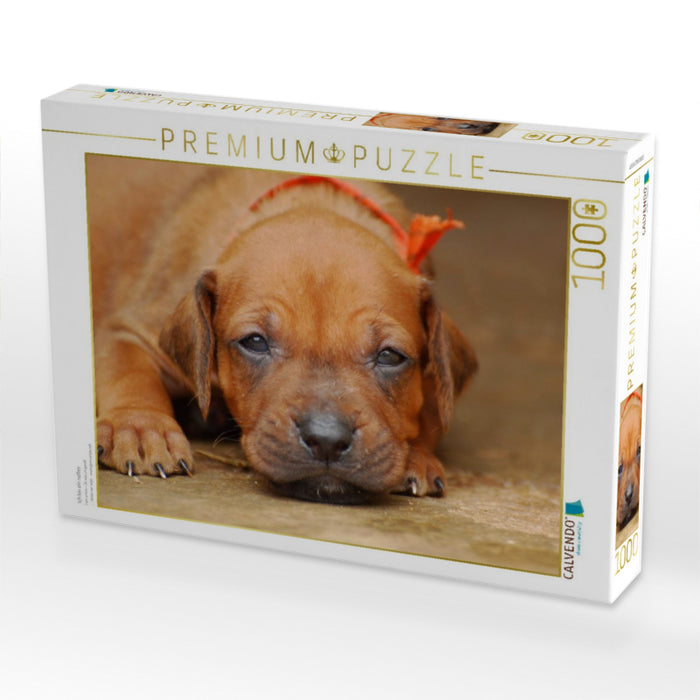 Ich bin ein nettes - CALVENDO Foto-Puzzle'