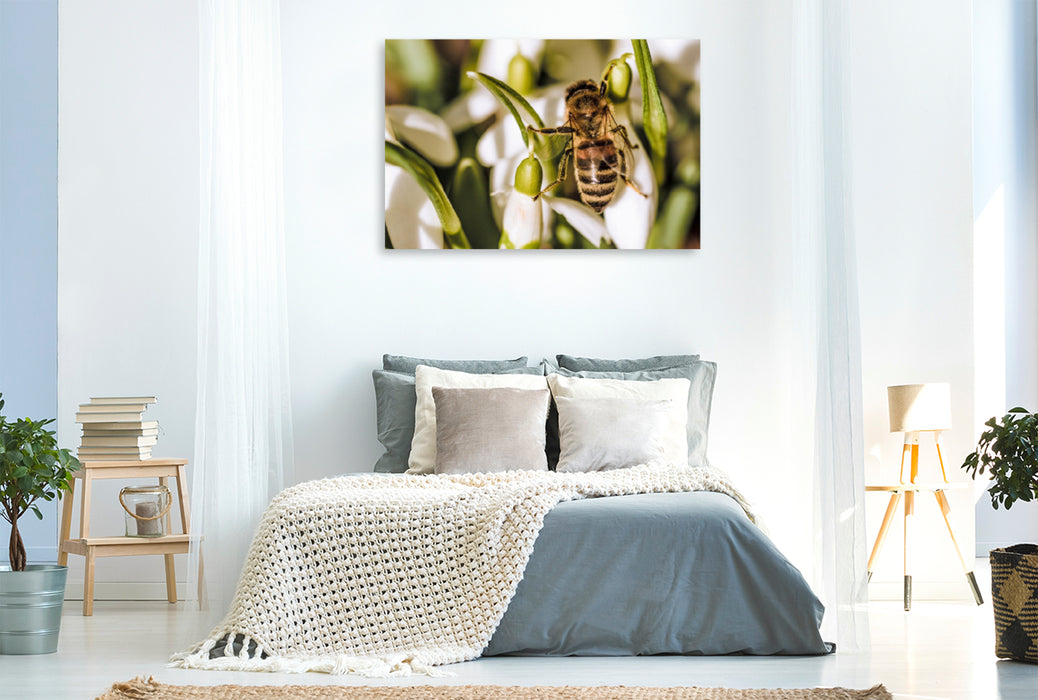 Premium textile canvas Premium textile canvas 120 cm x 80 cm landscape A motif from the Animal Garden calendar 