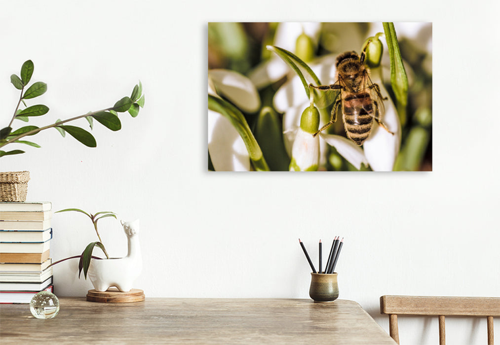 Premium textile canvas Premium textile canvas 120 cm x 80 cm landscape A motif from the Animal Garden calendar 