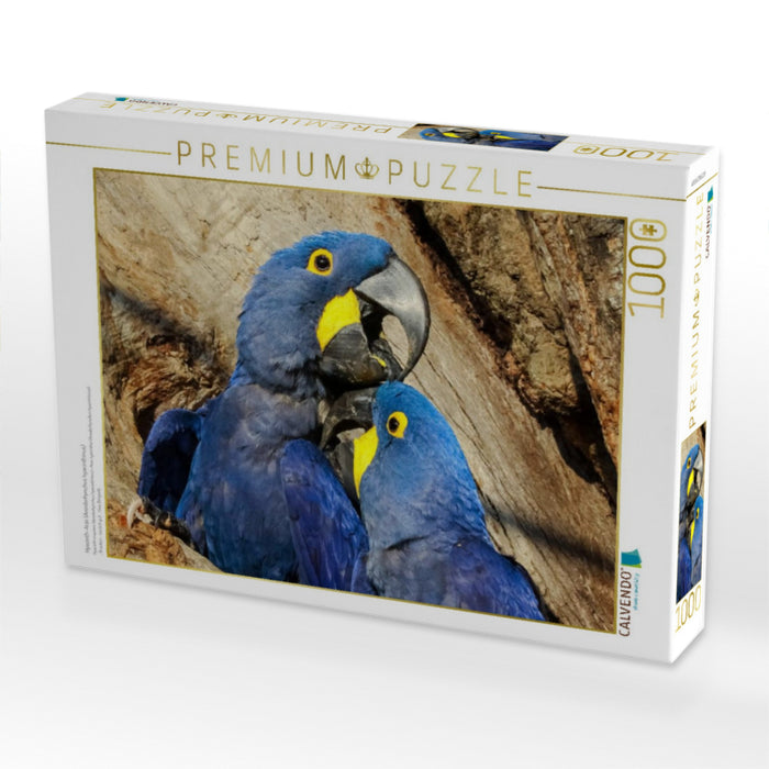 Hyazinth-Aras (Anodorhynchus hyacinthinus) - CALVENDO Foto-Puzzle'