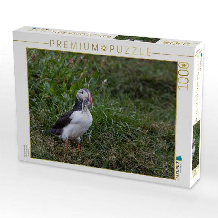 Papageientaucher - CALVENDO Foto-Puzzle'