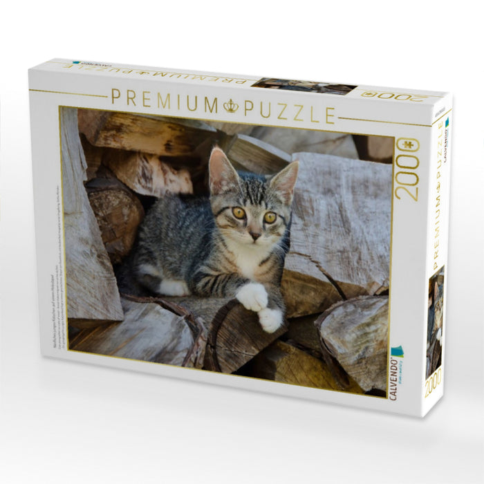 Niedliches junges Kätzchen auf einem Holzstapel 2000 Teile Puzzle quer - CALVENDO Foto-Puzzle'