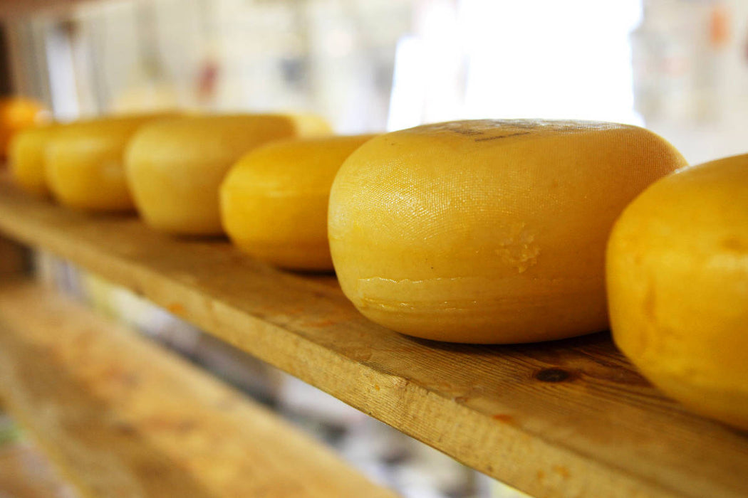Premium Textil-Leinwand Käse