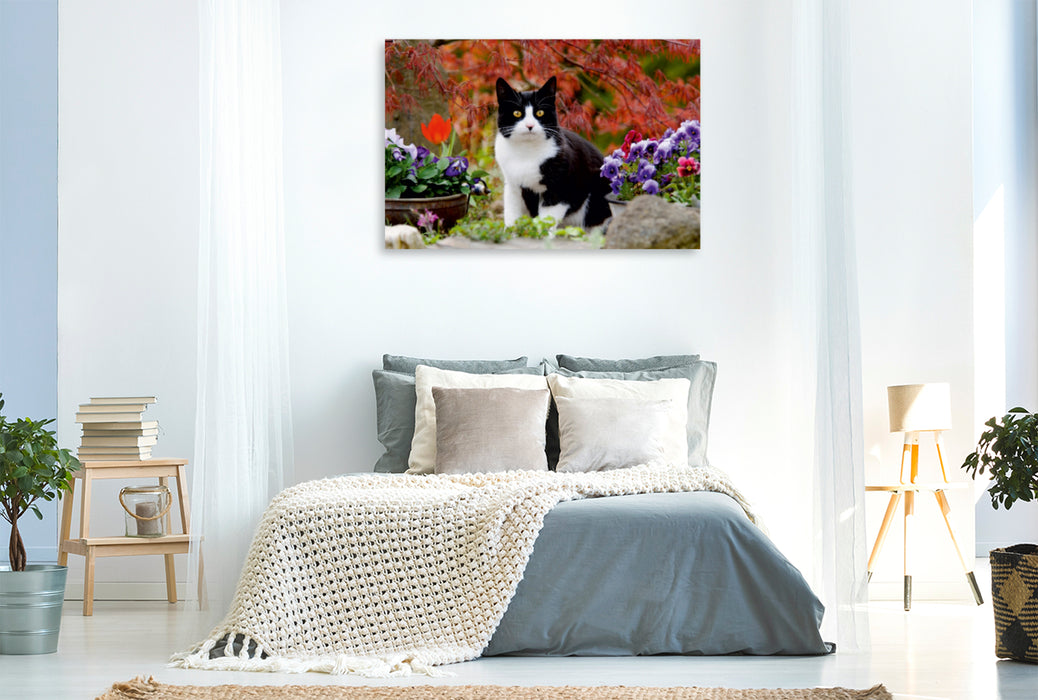 Premium Textil-Leinwand Premium Textil-Leinwand 120 cm x 80 cm quer Schwarz-weiße Katze im blühenden Garten