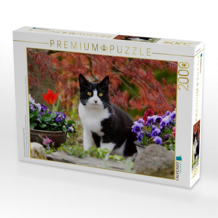Schwarz-weiße Katze im blühenden Garten - CALVENDO Foto-Puzzle'