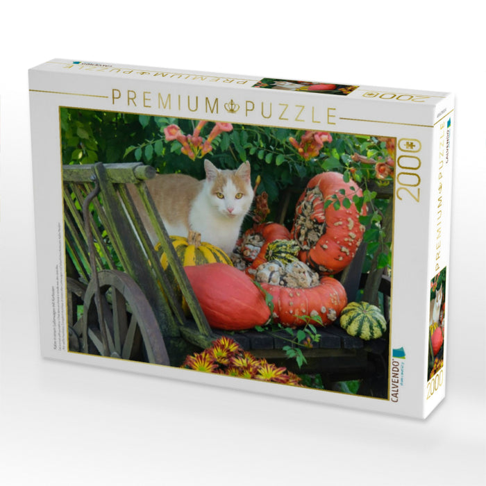 Katze in einem Leiterwagen mit Kürbissen - CALVENDO Foto-Puzzle'