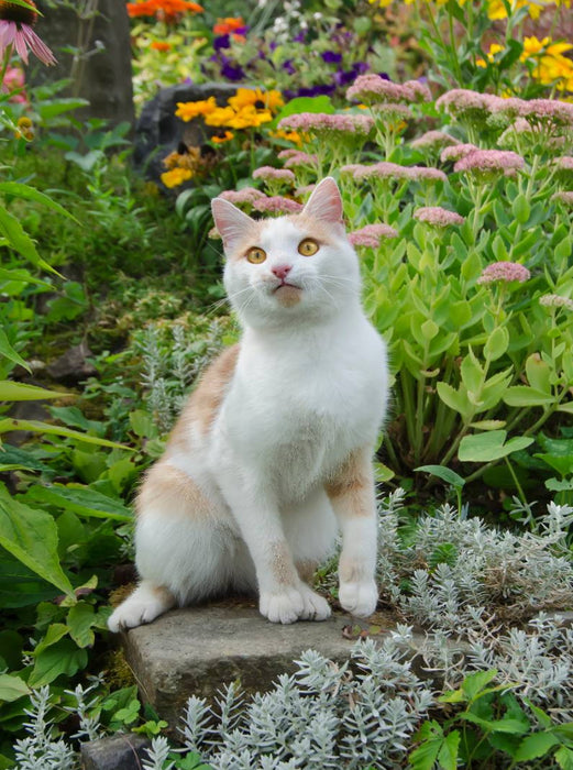 Aufmerksame Katze im Garten - CALVENDO Foto-Puzzle'