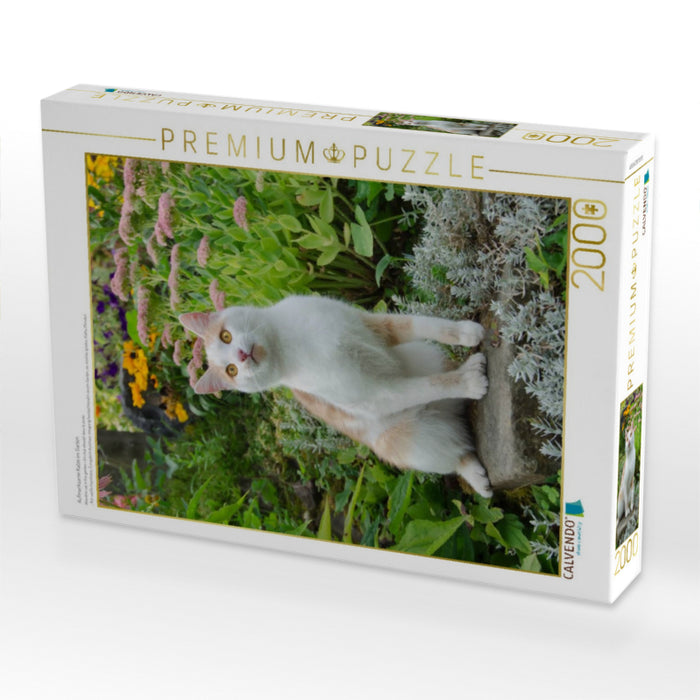 Aufmerksame Katze im Garten - CALVENDO Foto-Puzzle'