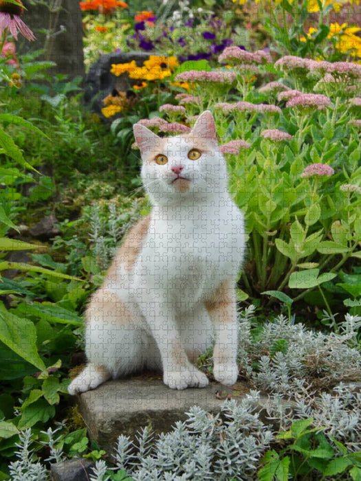 Aufmerksame Katze im Garten - CALVENDO Foto-Puzzle'
