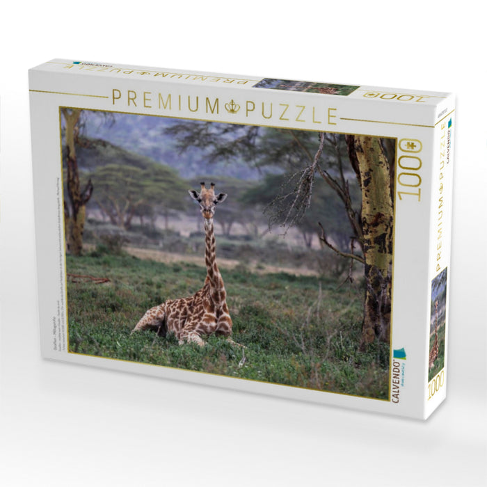 Giraffen – Mittagsruhe - CALVENDO Foto-Puzzle'