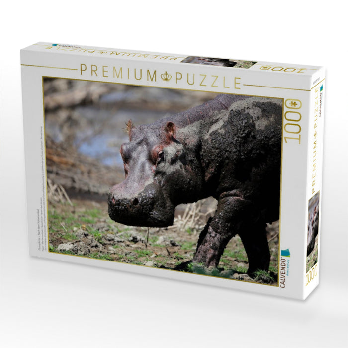 Flusspferde – Nach dem Schlammbad - CALVENDO Foto-Puzzle'