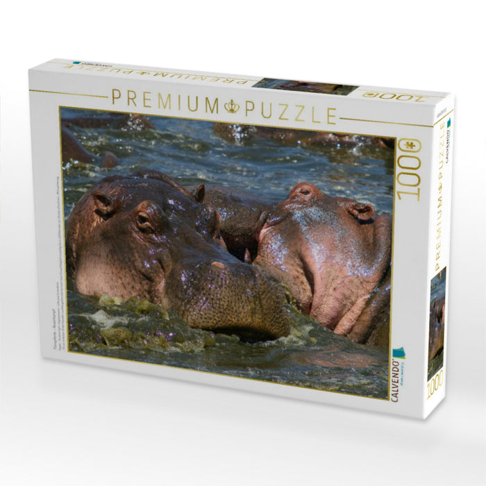 Flusspferde – Revierkampf - CALVENDO Foto-Puzzle'