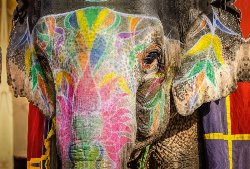Premium Textil-Leinwand Reitelefant Amber Fort