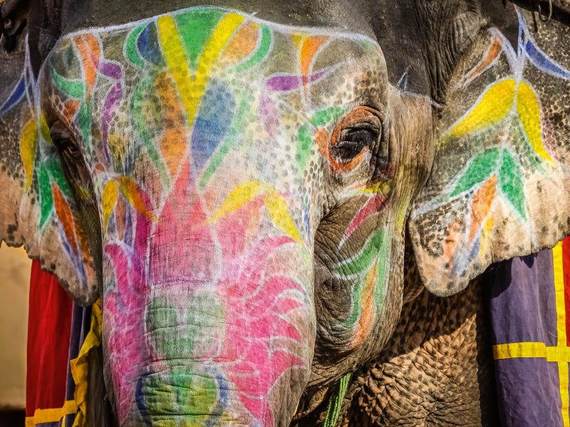 Riding elephant Amber Fort - CALVENDO photo puzzle 