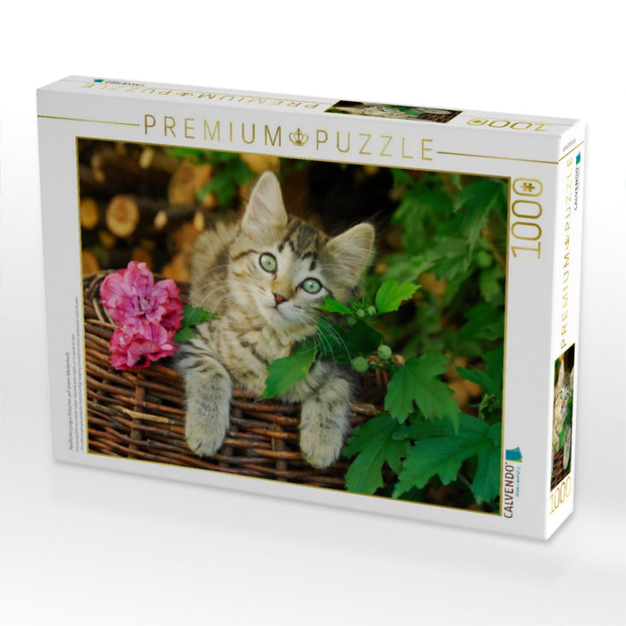 Niedliches junges Kätzchen auf einem Weidenkorb - CALVENDO Foto-Puzzle'