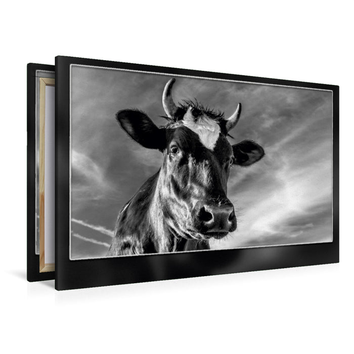 Premium Textil-Leinwand Kuh