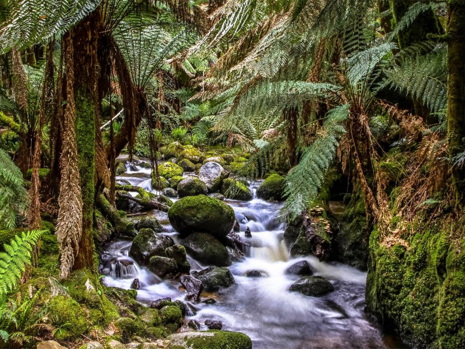 St. Columba Falls in Tasmanien - CALVENDO Foto-Puzzle'