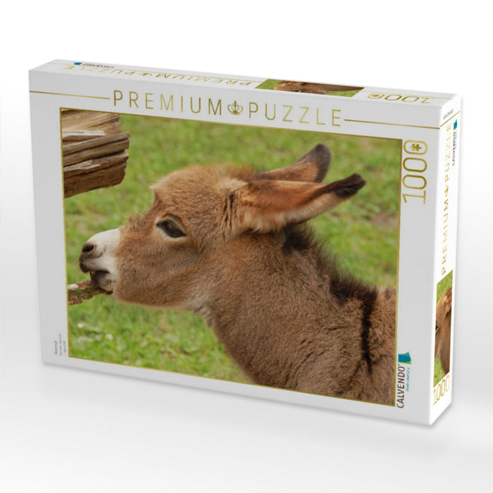 Gourmet - CALVENDO Foto-Puzzle'