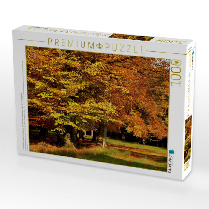 Wundervoller Herbst! Ein Motiv aus dem Kalender Jahresringe - Bäume als Wegbegleiter - CALVENDO Foto-Puzzle'