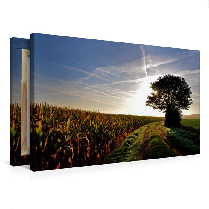 Premium Textil-Leinwand Weg ins Licht.