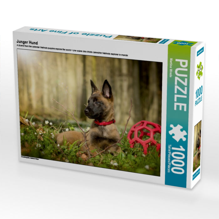 Jeune chien - Puzzle photo CALVENDO 
