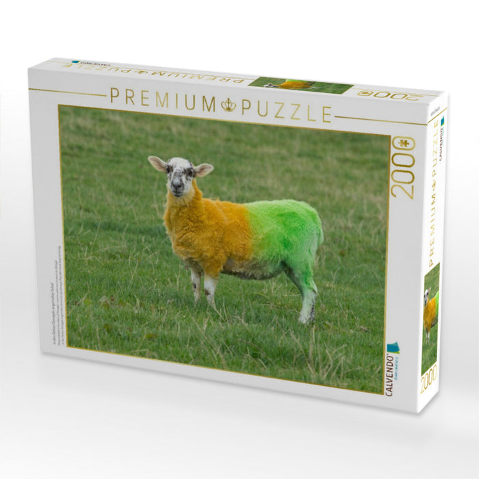 in den Farben Donegals angemaltes Schaf - CALVENDO Foto-Puzzle'