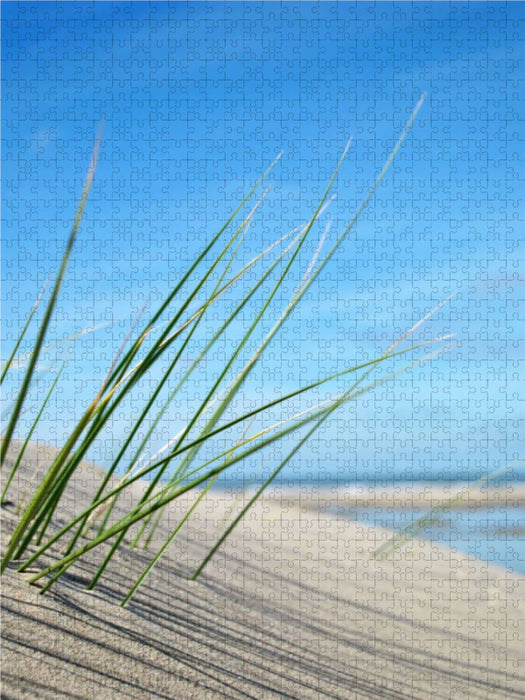Dünengras 1000 Teile Puzzle hoch - CALVENDO Foto-Puzzle'