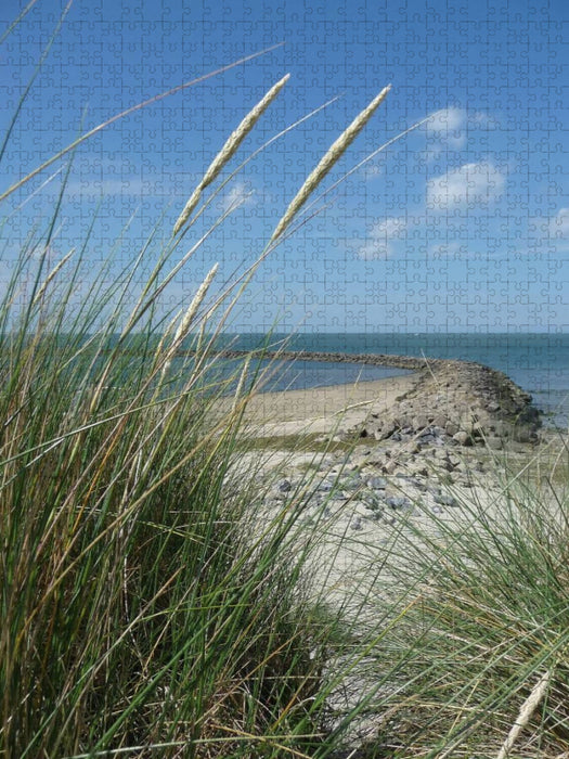 Blühender Strandhafer und Blick auf eine Buhne - CALVENDO Foto-Puzzle'