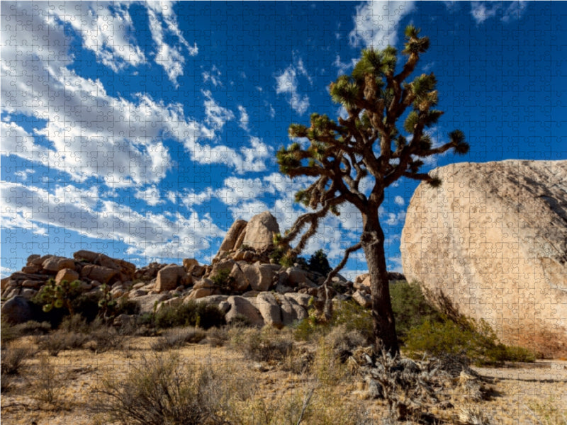 Joshua Tree Nationalpark, Kalifornien 1000 Teile Puzzle quer - CALVENDO Foto-Puzzle'