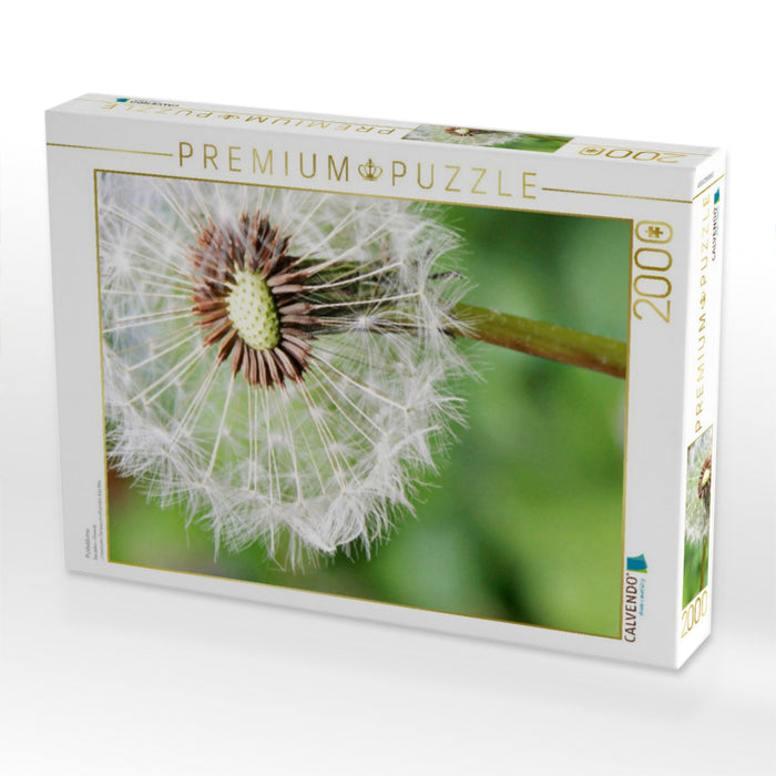 Pusteblume - CALVENDO Foto-Puzzle'