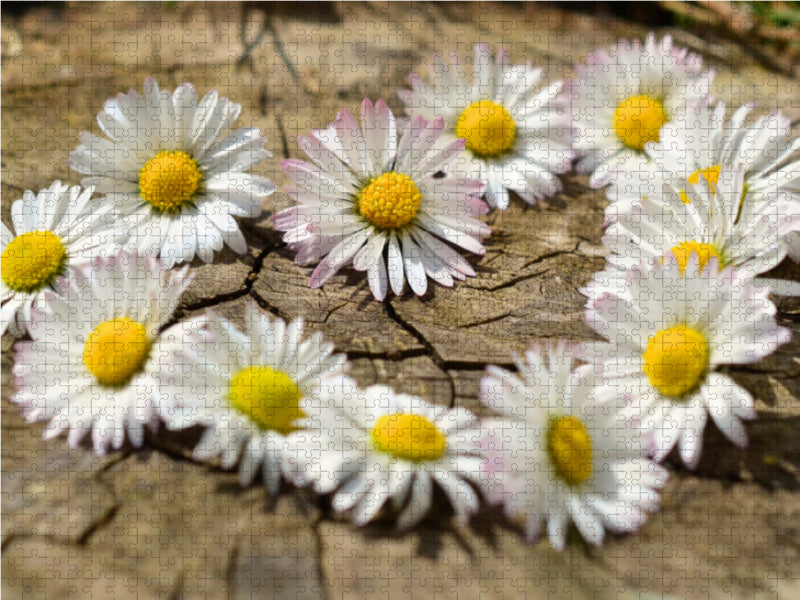 Herz aus Blumen 1000 Teile Puzzle quer - CALVENDO Foto-Puzzle'